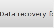 Data recovery for Janesville data
